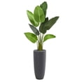 thumbnail image 1 of Nearly Natural 5686 5.5 ft. Traveler Palm Artificial Tree in Gray Planter, 1 of 3