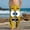 A409 Yellow, variant on Kids Boys Girls Joggers Scared Face Cartoon Print Stretchy Cotton Sweatpants for Kindergarten School Wear, 4-13Y