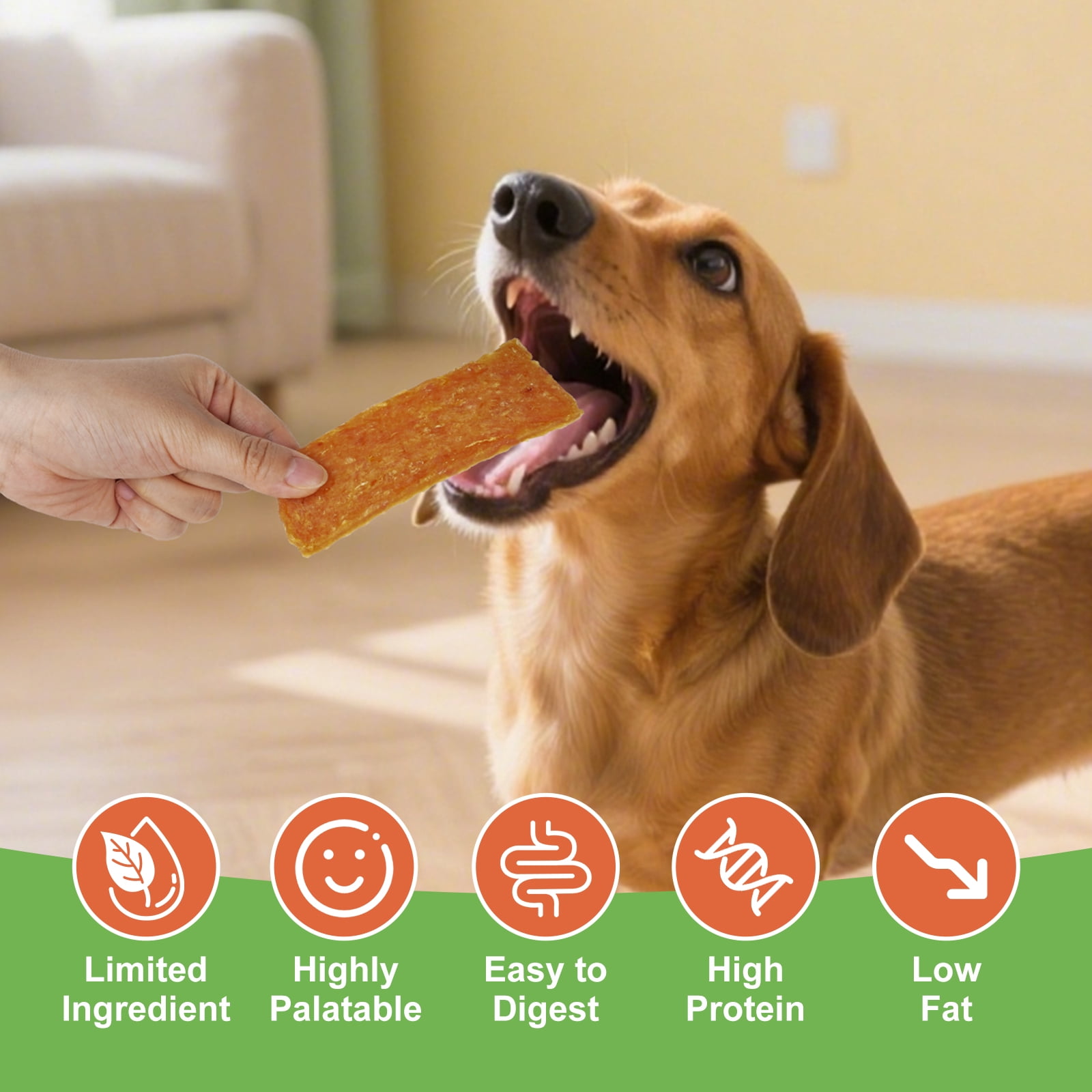 MON2SUN Chicken & Pumpkin Jerky Slice Small Dog Treats, 21.2 oz