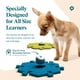 thumbnail image 4 of Juego de botones parlantes FluentPet, kit de inicio para mascotas, 4 of 6