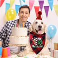 thumbnail image 2 of Bewildely Toalla de algodón a cuadros para Saliva de perro, baberos triangulares de una sola capa, accesorios para bufanda, toalla de Saliva para mascotas Kits de decoración para fiestas Numero 5, 2 of 6