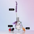 thumbnail image 3 of philosophy amazing grace lavender eau de toilette 4 fl oz, 3 of 5