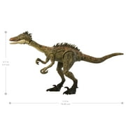Jurassic World Hammond Collection Troodon Dinosaur Action Figure, 14 Points Articulation
