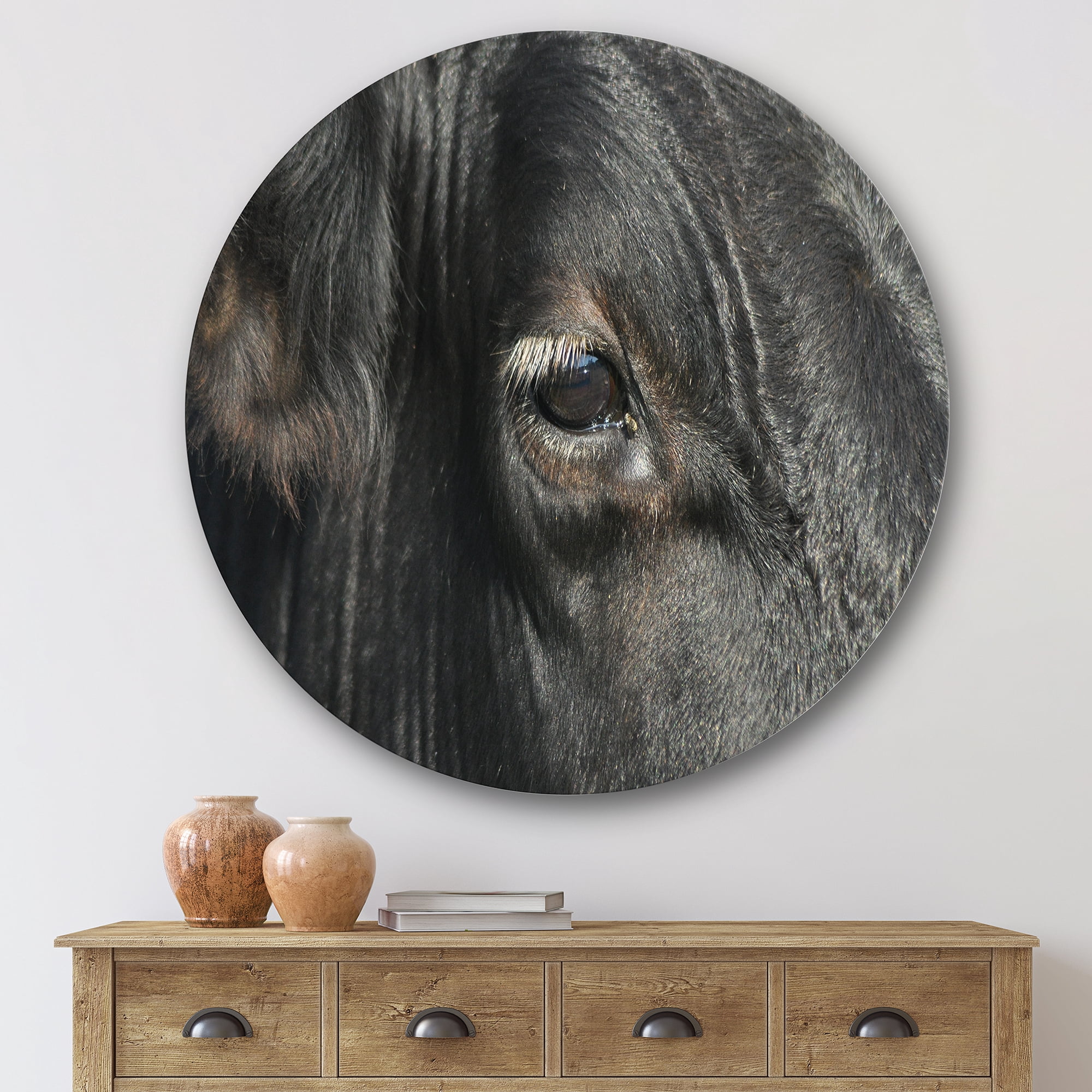 Designart 'Close-Up Of Cow Eye' Farmhouse Circle Metal Wall Art 29x29 - Disc of 29