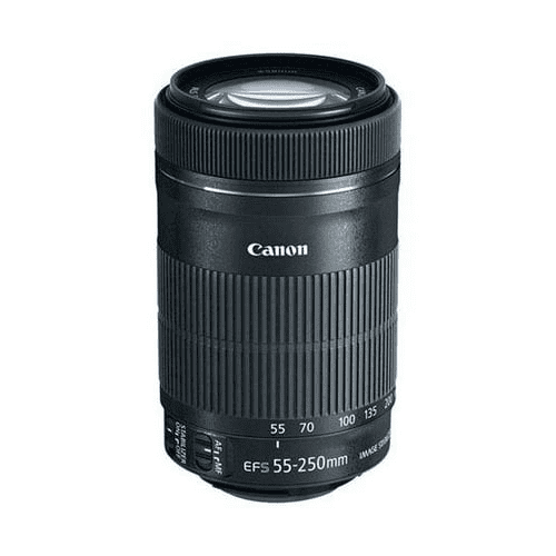 Canon EF-S 55-250mm f/4-5.6 IS STM Telephoto Zoom Lens with 