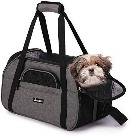 soft pet carrier walmart