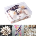 thumbnail image 4 of Concha de caracol natural,Concha de caracol natural,Conchas marinas para hacer manualidades y decorar jarrones de baño,Conchas de playa,pecera,acuario,joyería,decoración,Fabricación de, 4 of 8