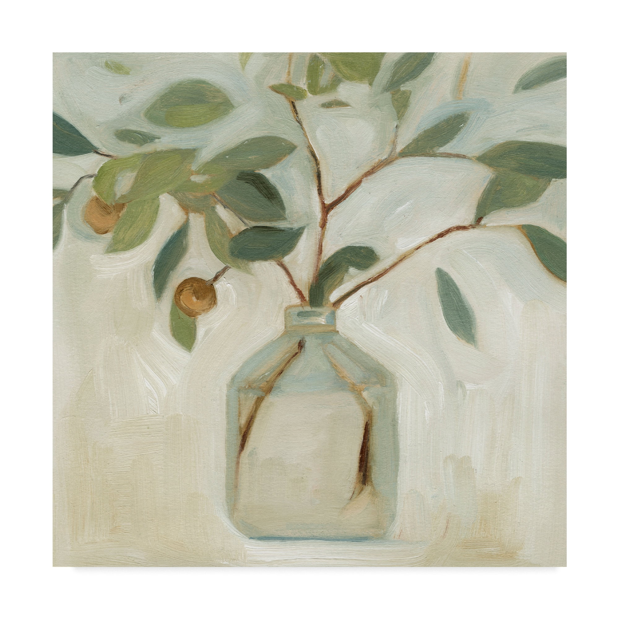 Trademark Fine Art 'Neutral Arrangement I' Canvas Art by Emma Scarvey ...