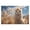 500, variant on Puzzles for Adults 500 Pieces - Cute Fluffy Dog Meadow Looking Camera Beautiful Drawings for Bedroom Decor Family Holidays,Elevate Yourself Gift