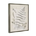 thumbnail image 3 of Stupell Industries Latin Study Vintage Fern Botanical Botanical & Floral Drawing Gray Floater Framed Art Print Wall Art, 3 of 6