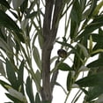 thumbnail image 6 of Christopher Knight Home 66" Olive Tree in Black Plastic Pot, Pre-Potted Faux Greenery Tree for Home Decor, 6 of 9