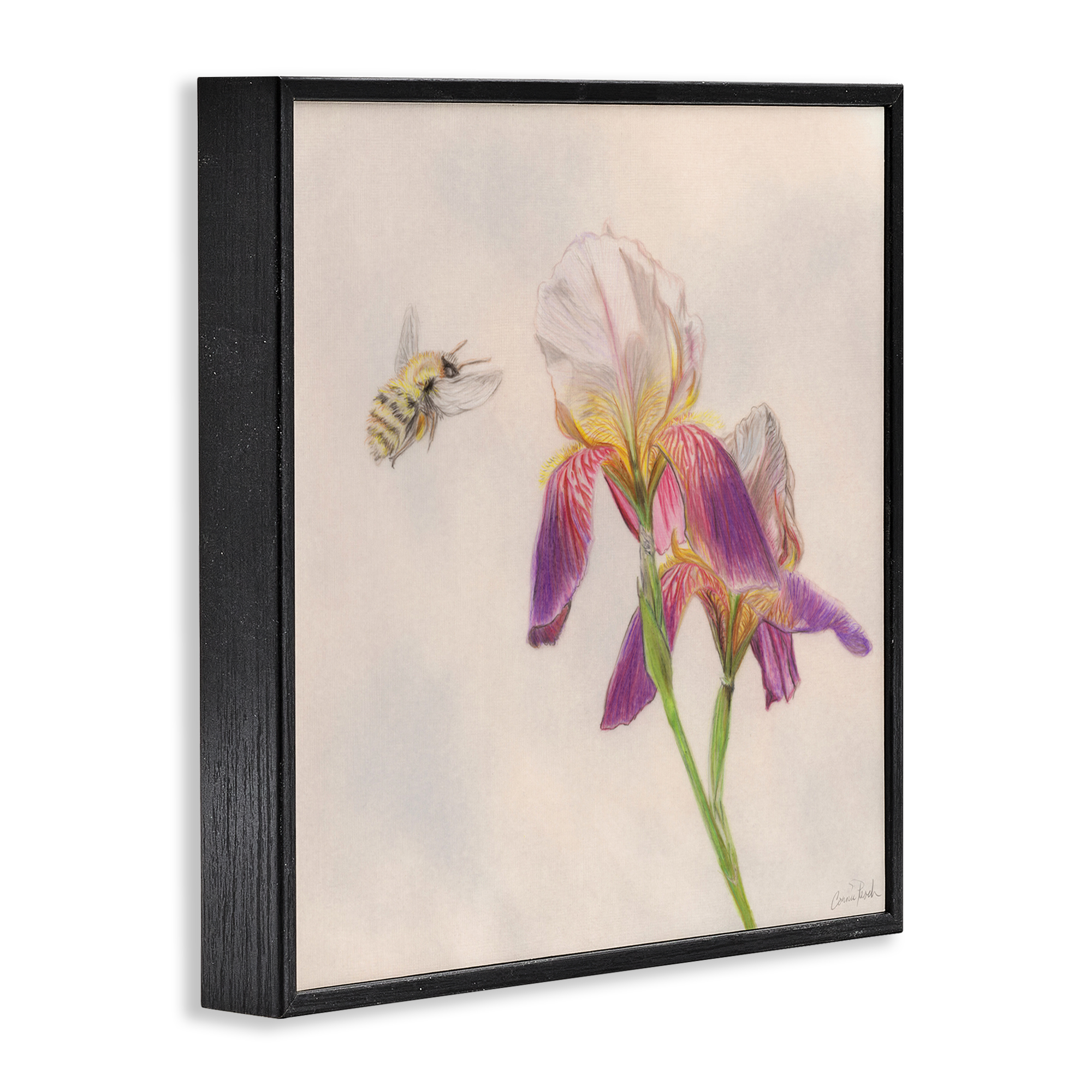 Stupell Industries Spring Offerings Bee Animals & Insects Painting Black Framed Art Print Wall Art, 12 x 12