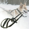 thumbnail image 1 of Large Dog Harness with Leash No Pull Adjustable Nylon Material Reflective Strips for Hiking Outdoor Training Large Dogs, 1 of 3