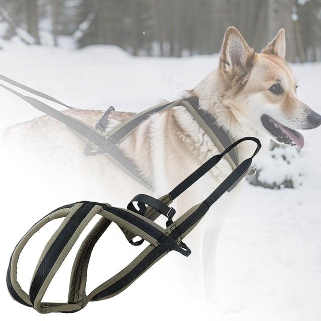 Large Dog Harness with Leash No Pull Adjustable Nylon Material Reflective Strips for Hiking Outdoor Training Large Dogs