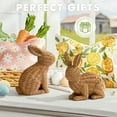 thumbnail image 3 of Ayieyill 2 Pcs Easter Rabbit Decor, Easter Rattan Bunny Resin Ornaments for Home Courtyard Tabletop to Enhance The Easter Atmosphere, 3 of 9