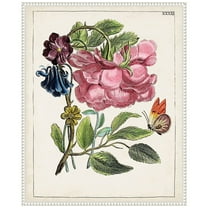 Amanti Art Dutch Florals XII Framed Canvas Wall Art Print