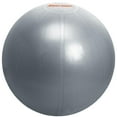 thumbnail image 3 of Iron Body Fitness Pro Series Stability Ball, 65 cm Anti-Burst PVC Exercise Ball with Pump, 3 of 5