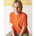 thumbnail image 4 of Camiseta de adulto Fruit of the Loom HD Cotton™ ROSA FLUO 4XL 3931, 4 of 5