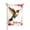 Style 1, variant on Spring Summer Hummingbird Garden Flag 12x18 Inch, Double Sided Welcome Floral Bird Yard Flag Outdoor Decor, Pink Flowers Garden Decoration