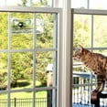 thumbnail image 4 of Window Bird Feeder, Wild Bird Feeder, Transparent Window Bird Feeder, Exquisite Bird Watching Gift, 4 of 5