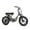 Green-, variant on Addmotor Moped-Style Electric Bike, 20" Fat Tire Step Through Electric Bicycle, 750W 48V 20Ah Electric Commuter City Cruiser Bike for Adults, M-66 Green