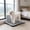 Black, variant on Indoor Dog Potty Tray with Removable Grid & Splash Guard, Housebreaking Training Litter Box for Small Medium Large Dogs, Easy Clean Plastic Pee Pad Holder, 19.69x15.55x1.57in