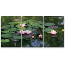 wall26 - 3 Piece Canvas Wall Art - Beautiful Lotus Flower in The Pond - Modern Home Art Stretched and Framed Ready to Hang - 24"x36"x3 Panels