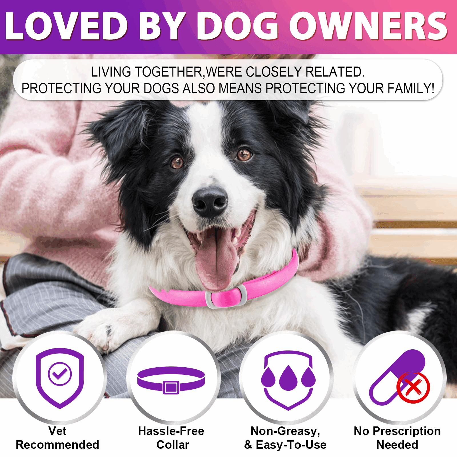 Oimmal Collar for Dog and Puppy, 24 Months Protection, 19inch Adjustable, Waterproof, Natural Ingredients, 4 Collars - Pink & Purple