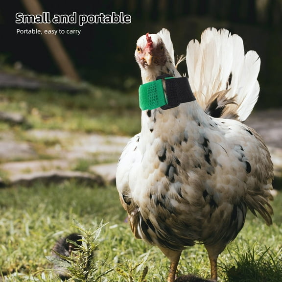 PTOOTP 2Pcs Adjustable Green Nylon Rooster Collar No Crowing Pet Accessory for Daily Use