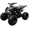 Coolster 125cc ATV 3125C-2