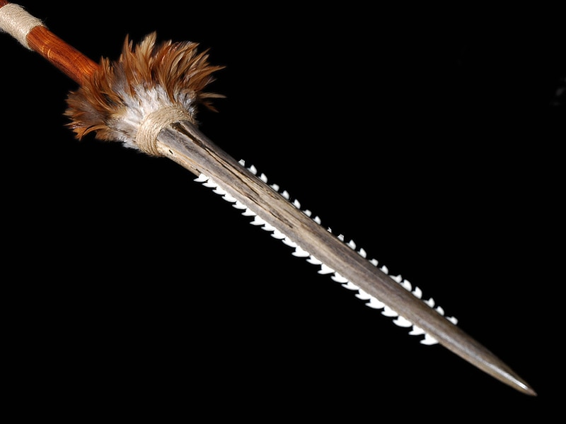 KOA SPEAR W/ BLUE MARLIN BILL & SHARK TEETH 6.5 FT ART GALLERY