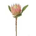 thumbnail image 1 of Pink Protea Stem Artificial Flower, 1 of 1