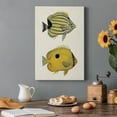 thumbnail image 7 of Yellow & Grey Fish III Premium Gallery Wrapped Canvas - Ready to Hang, 7 of 7