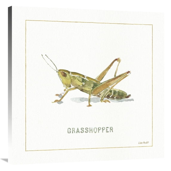Global Gallery's 'My Greenhouse Grasshopper' By Lisa Audit Stretched Canvas Wall Art