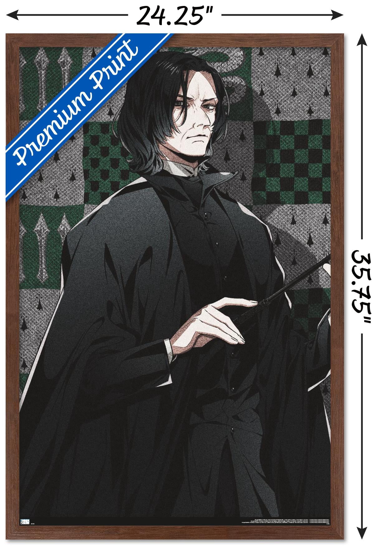 The Wizarding World: Harry Potter - Dynasty Snape Wall Poster, 22.375" x 34" Framed