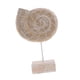 thumbnail image 4 of Adornos de escritorio caseros decorativos de de madera artesanal de estilo náutico Sunnimix Adorno de concha náutica, 4 of 7