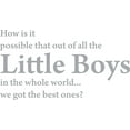 thumbnail image 1 of Silver 37" x 20" Picniva How is IT Possible That Out of All The Little Boys Kids Room Sayings Words Art Decor Lettering Vinyl Wall Art Inspirational Uplifting, 1 of 1