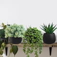 thumbnail image 4 of Set of 3 Artificial Succulent Plants in Black Concrete Pots Faux Aloe Hops String of Pearls Potted Plants Small Fake Plants Desk Plants for Home Office Desk Kitchen Bathroom Shelf Windowsill, 4 of 8