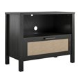 thumbnail image 1 of Wimberly 1 Drawer Nightstand, Black Oak with Faux Rattan, 1 of 7