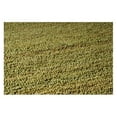 thumbnail image 4 of Surya Continental COT-1940 Area Rug - Lime Green, 4 of 5