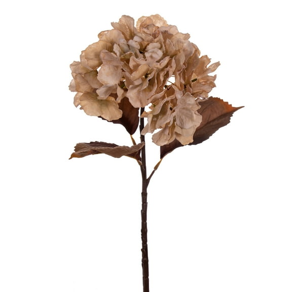 Vickerman 18.5" Cream Artificial Dried Hydrangea Spray, 2 per Bag.