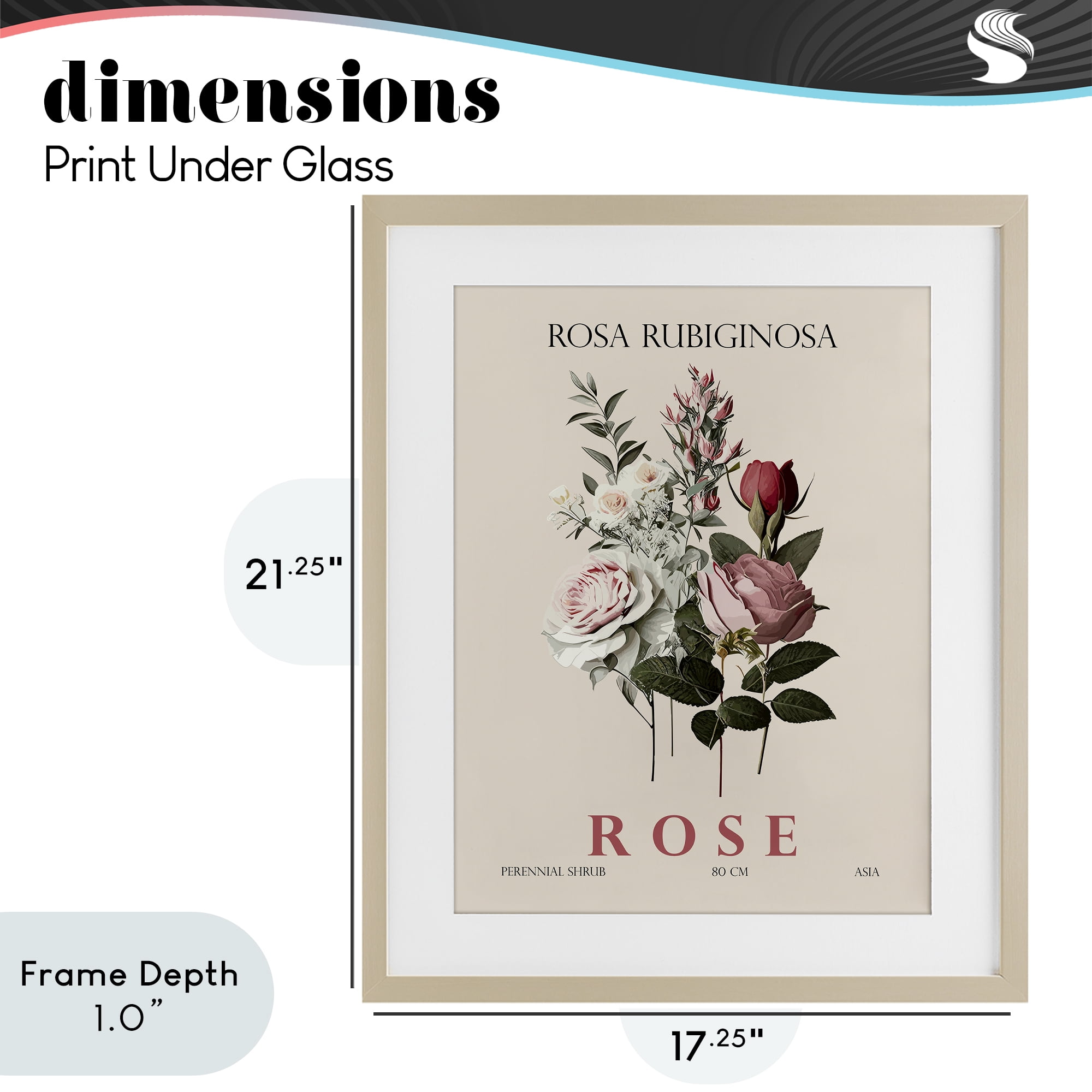 Stupell Industries Natural Rose Bundle Birch Framed Print Under Glass, design by Christopher Giampietro