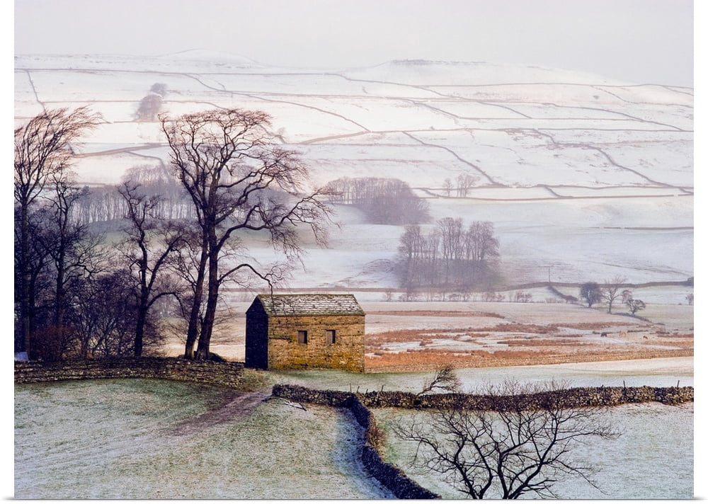 Great BIG Canvas | Rolled Ellen Rooney Poster Print entitled Snowy ...