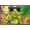 Bronze Framed Version, variant on Summertime Frog Wall Poster, 14.725" x 22.375"