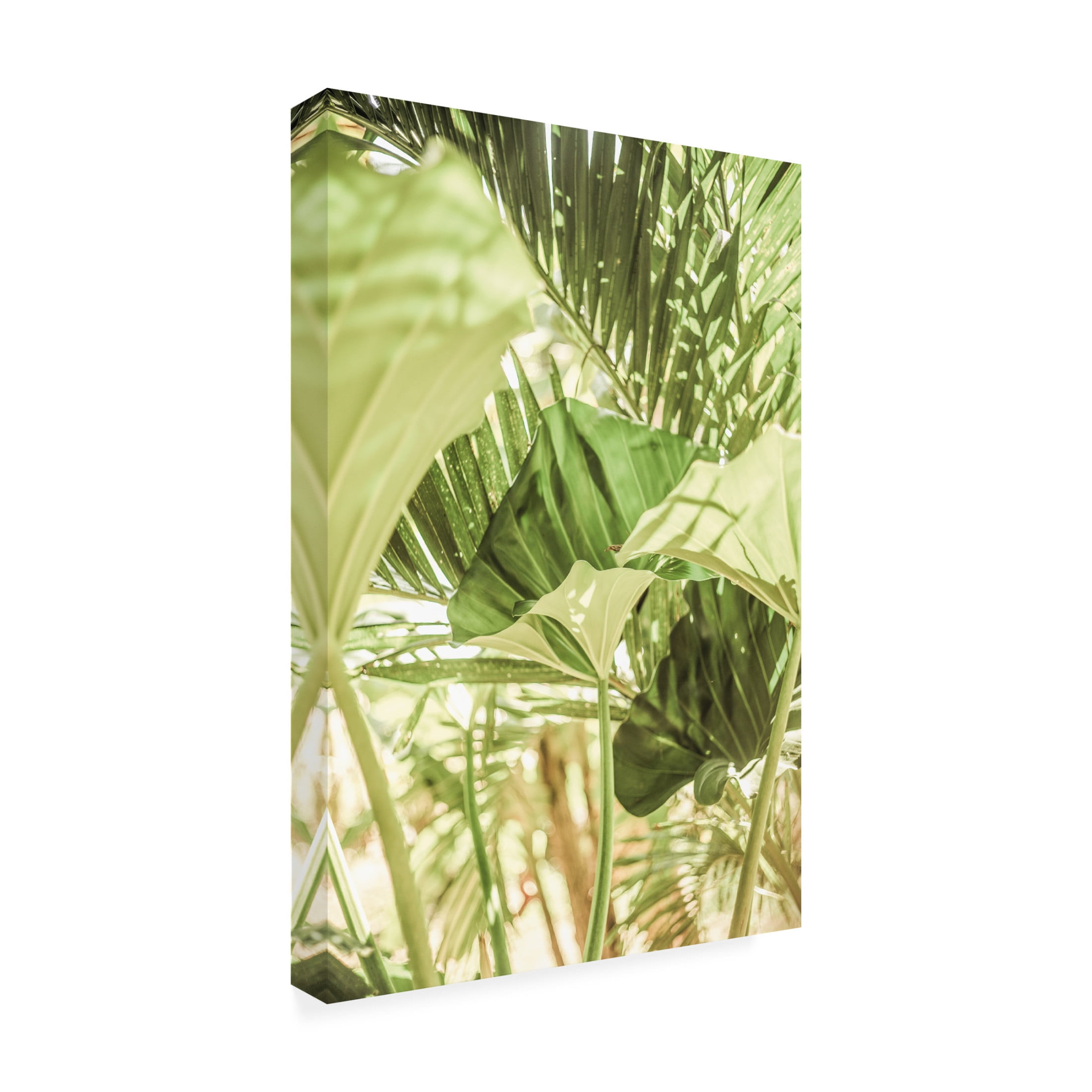 Trademark Fine Art Shot by Clint Garden Salad Canvas Wall Art