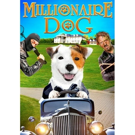Millionaire Dog (DVD) (Best Dog For A Family With Allergies)