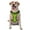 With Accessories, variant on Vsdgher Lime green glitter Pattern Dog Harness,No Pull Pet Harness with Soft Padded Handle,Adjustable Reflective Vest with 2 Buckles,4 Slide Buckles,S-XL X-Large