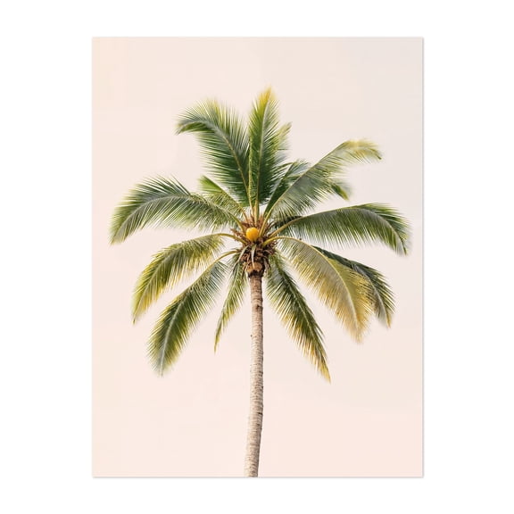 Palm Tree - Photography Palm Tree Tropical Minimalist Summer Beach House Nature Coastal Unframed Wall Art Print 5 x 7 inches