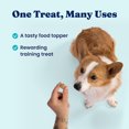 thumbnail image 2 of Solid Gold Real Beef & Pumpkin Freeze-Dried Raw Meal Dog Food Topper, 12.5-oz bag, 2 of 8