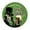 Bone Dry Irish Stout, variant on Craft a Brew Oktoberfest Ale Beer Refill Recipe Kit, 1 Gallon Batch, Home Brewing Ingredient and Supplies